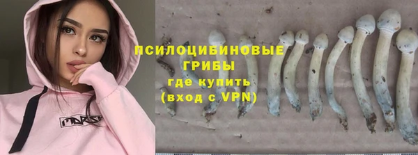 тгк Абинск
