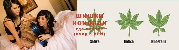 сатива Сатка