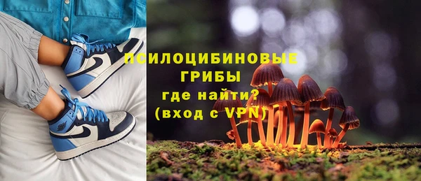 гидра Сафоново