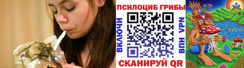 купить наркоту  kraken как войти  Галлюциногенные грибы Psilocybe  Кудымкар 
